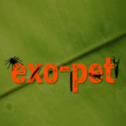 (c) Exo-pet.de