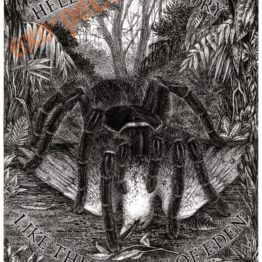 Spider of Eden2