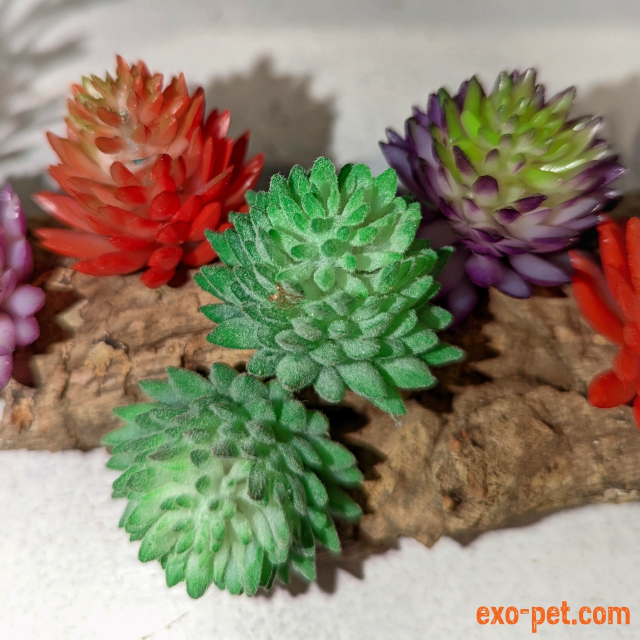 Kunstpflanze Typ Sukkulente XS, versch. Farben | exo-pet | Kunstpflanzen
