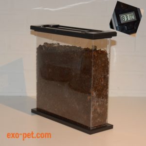 Foto: Larvarium für Käferlarven von exo-pet und Tarantula Room Ltd.