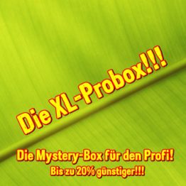 probox_xl